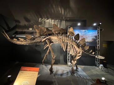 福井県立恐竜博物館に投稿された画像（2024/8/11）