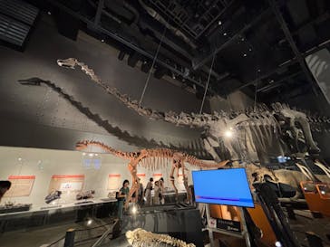 福井県立恐竜博物館に投稿された画像（2024/8/11）