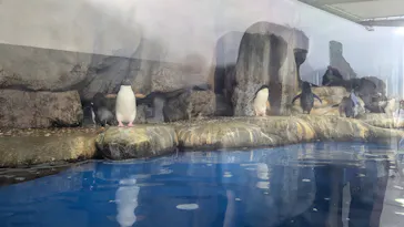 仙台うみの杜水族館に投稿された画像（2024/8/11）