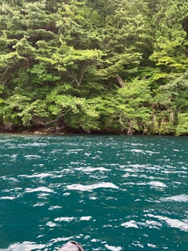 グリランド株式会社に投稿された画像（2024/8/11）