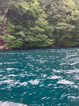 グリランド株式会社に投稿された画像（2024/8/11）