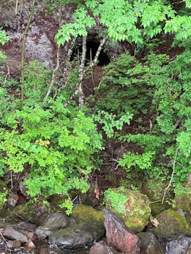 グリランド株式会社に投稿された画像（2024/8/11）