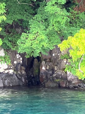 グリランド株式会社に投稿された画像（2024/8/11）