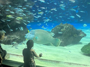 サンシャイン水族館に投稿された画像（2024/8/11）