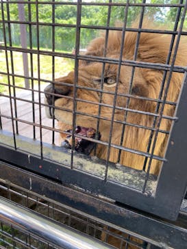 那須サファリパークに投稿された画像（2024/8/11）