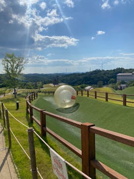 NESTA RESORT KOBE（ネスタリゾート神戸）に投稿された画像（2024/8/11）