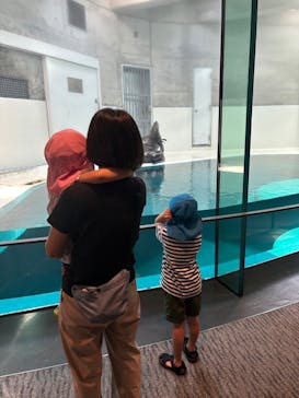 大分マリーンパレス水族館 「うみたまご」に投稿された画像（2024/8/11）