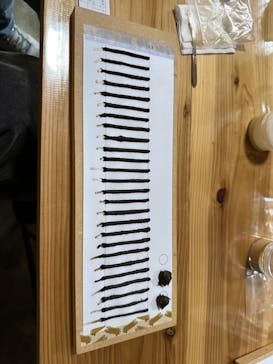 体験工房　寺スペースに投稿された画像（2024/8/11）