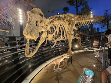 福井県立恐竜博物館に投稿された画像（2024/8/11）