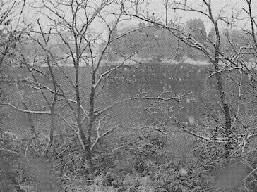 東京国立博物館に投稿された画像（2024/8/11）