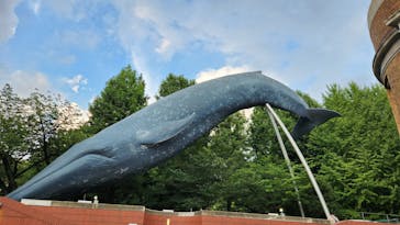 国立科学博物館に投稿された画像（2024/8/11）