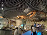 国立科学博物館に投稿された画像（2024/8/11）
