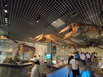 国立科学博物館に投稿された画像（2024/8/11）
