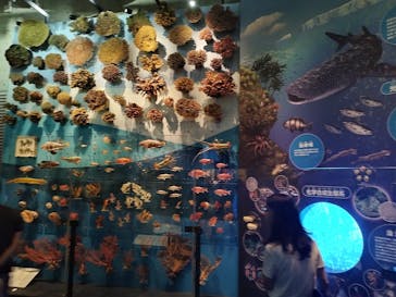 国立科学博物館に投稿された画像（2024/8/11）