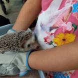 Moff animal cafe iias つくば店に投稿された画像（2024/8/11）