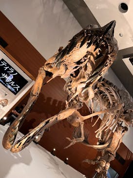 DinoScience 恐竜科学博 ～ララミディア大陸の恐竜物語～ 2024@OSAKAに投稿された画像（2024/8/11）