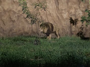 日立市かみね動物園に投稿された画像（2024/8/11）