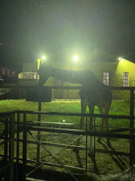 日立市かみね動物園に投稿された画像（2024/8/11）
