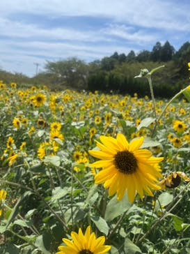 成田ゆめ牧場に投稿された画像（2024/8/11）