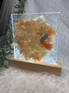 ずこうしつ〜sugamo〜に投稿された画像（2024/8/11）