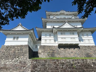 小田原城に投稿された画像（2024/8/11）