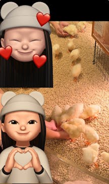 Moff animal cafe イオンモール幕張新都心店に投稿された画像（2024/8/11）