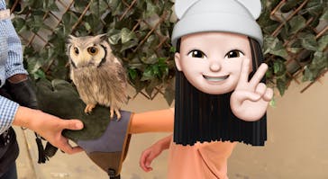 Moff animal cafe イオンモール幕張新都心店に投稿された画像（2024/8/11）