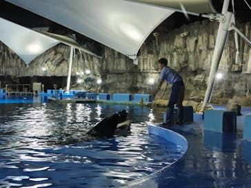 名古屋港水族館に投稿された画像（2024/8/11）