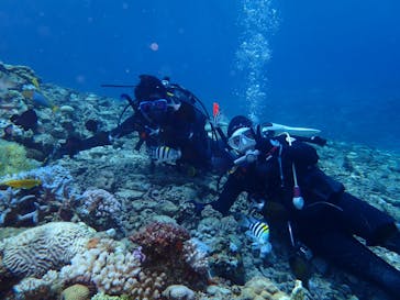 ヒートウェーブに投稿された画像（2024/8/11）