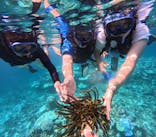 西表島 ADVENTURE PiPi（アドベンチャーピピ）に投稿された画像（2024/8/11）