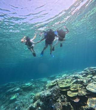 西表島 ADVENTURE PiPi（アドベンチャーピピ）に投稿された画像（2024/8/11）