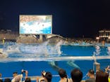 名古屋港水族館に投稿された画像（2024/8/11）