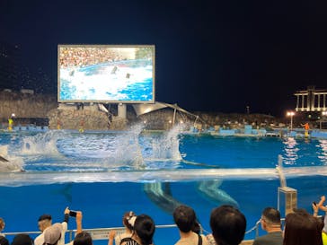 名古屋港水族館に投稿された画像（2024/8/11）