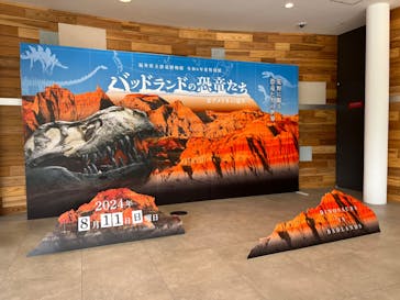 福井県立恐竜博物館に投稿された画像（2024/8/11）