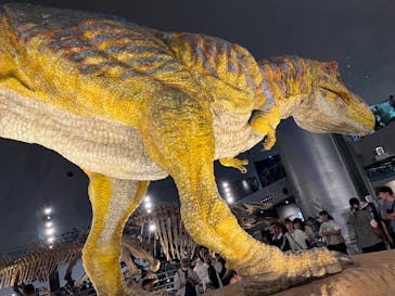 福井県立恐竜博物館に投稿された画像（2024/8/11）