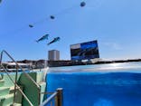 名古屋港水族館に投稿された画像（2024/8/11）