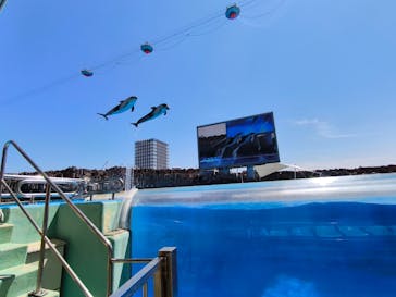 名古屋港水族館に投稿された画像（2024/8/11）