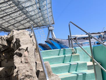 名古屋港水族館に投稿された画像（2024/8/11）