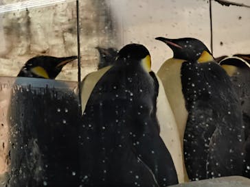 名古屋港水族館に投稿された画像（2024/8/11）