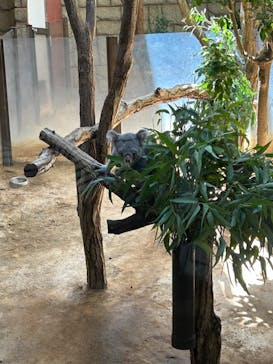 名古屋市東山動植物園に投稿された画像（2024/8/11）