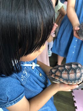 串本海中公園水族館に投稿された画像（2024/8/11）