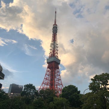 東京タワーに投稿された画像（2024/8/11）