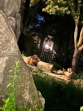 到津の森公園に投稿された画像（2024/8/11）