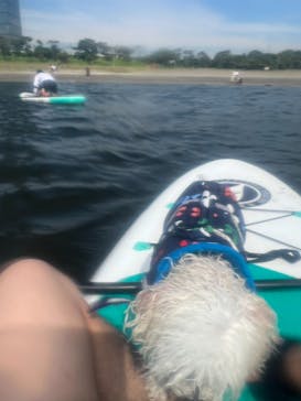 ちばみなとサップヨガに投稿された画像（2024/8/11）