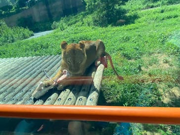 多摩動物公園に投稿された画像（2024/8/11）