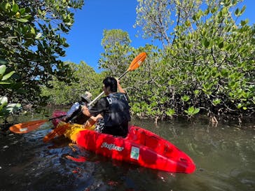 西表島 ADVENTURE PiPi（アドベンチャーピピ）に投稿された画像（2024/8/11）