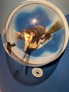 天王寺動物園に投稿された画像（2024/8/11）