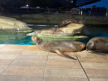 天王寺動物園に投稿された画像（2024/8/11）