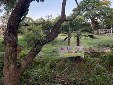 天王寺動物園に投稿された画像（2024/8/11）
