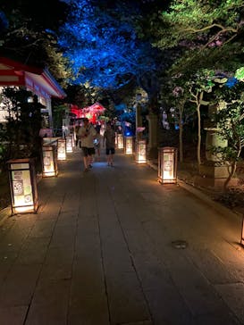 江の島シーキャンドルに投稿された画像（2024/8/11）